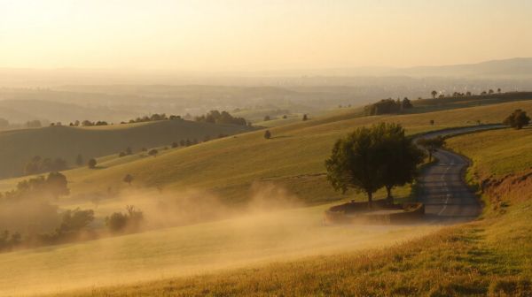 Top 5 investissements à considérer dans les Yvelines en 2026